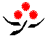 Cranberry